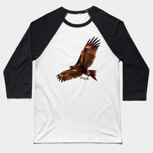 Wedgetail Eagle_03C Baseball T-Shirt by seadogprints